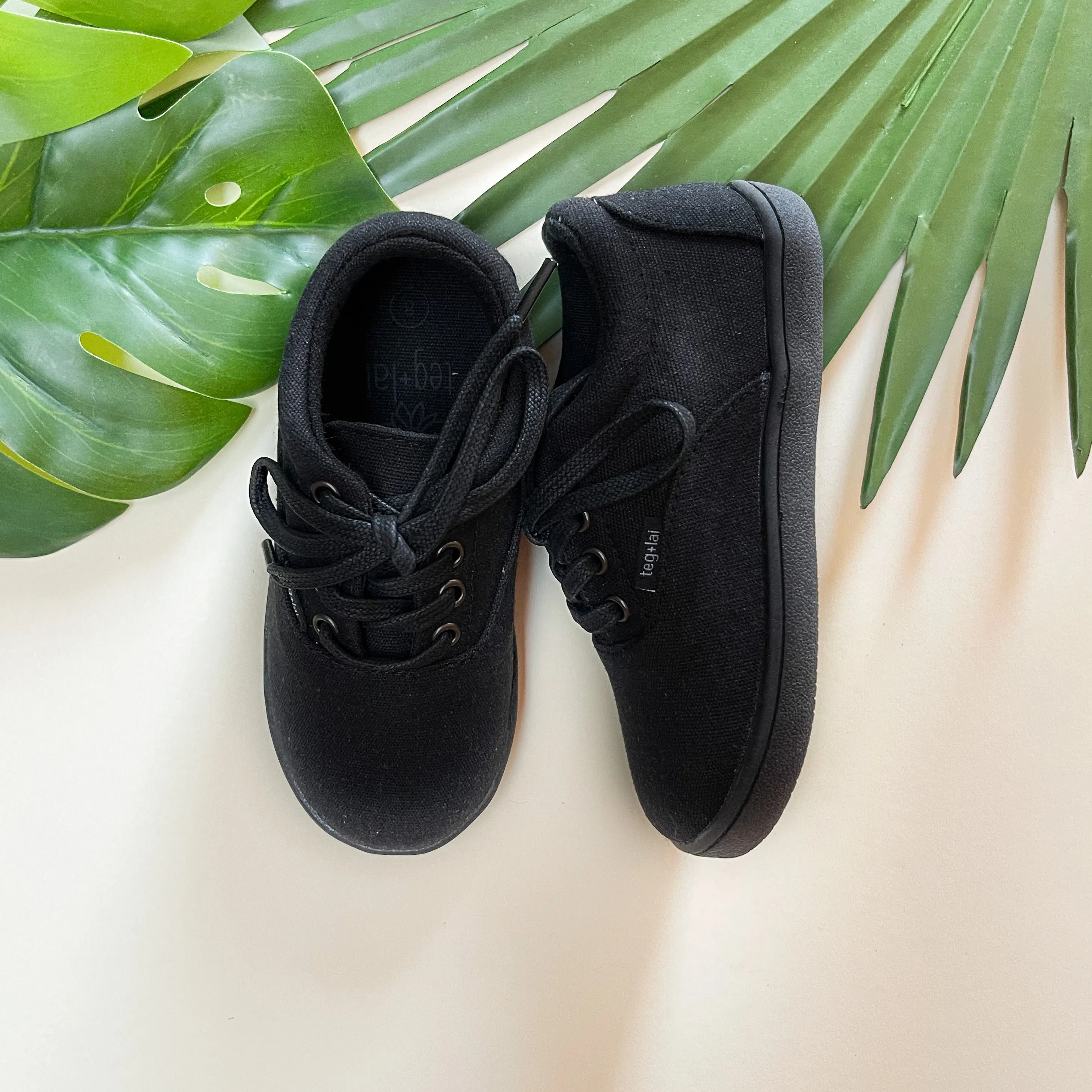 Lace Up Canvas Ebony