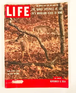 Vintage LIFE Magazine November 8, 1954